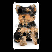 Coque Sony Xperia Typo Yorkshire terrier 15