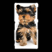 Coque Sony Xpéria Z1 Yorkshire terrier 15