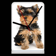Pendule de bureau Yorkshire terrier 15