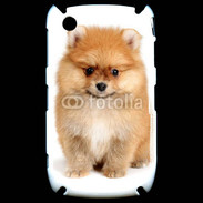 Coque Blackberry 8520 Chiot Spitz 15