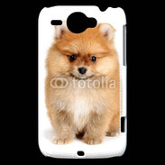 Coque HTC Wildfire G8 Chiot Spitz 15