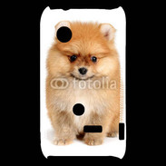 Coque Sony Xperia Typo Chiot Spitz 15
