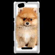 Coque Sony Xperia M Chiot Spitz 15