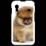 Coque Samsung ACE S5830 Chiot Pomeranian 15