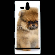Coque Sony Xperia U Chiot Pomeranian 15