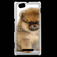 Coque Sony Xperia M Chiot Pomeranian 15