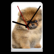 Pendule de bureau Chiot Pomeranian 15