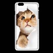 Coque iPhone 6 / 6S Chaton caché