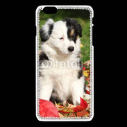 Coque iPhone 6 / 6S Adorable chiot Border collie