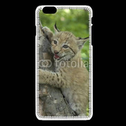 Coque iPhone 6 / 6S Bébé Lynx