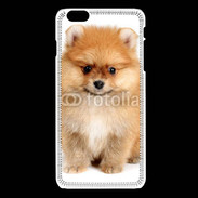 Coque iPhone 6 / 6S Chiot Spitz 15