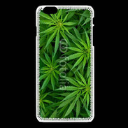 Coque iPhone 6 / 6S Feuilles de marijuana