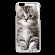 Coque iPhone 6Plus / 6Splus Chaton gris 