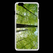 Coque iPhone 6Plus / 6Splus forêt