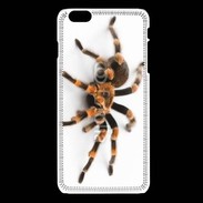 Coque iPhone 6Plus / 6Splus Araignée tarentule