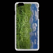 Coque iPhone 6Plus / 6Splus Champs de cannabis