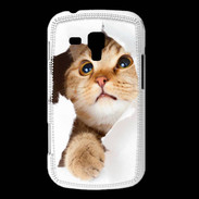 Coque Samsung Galaxy Trend Chaton caché