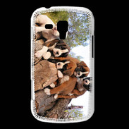 Coque Samsung Galaxy Trend Chiots Boxer sur un tronc d''arbre