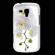 Coque Samsung Galaxy Trend Orchidée blanche