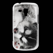 Coque Samsung Galaxy Trend Chiot Husky