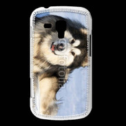 Coque Samsung Galaxy Trend Chien d'Alaska