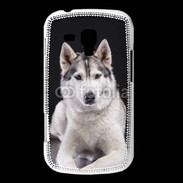 Coque Samsung Galaxy Trend Chien Husky de Sibérie