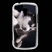 Coque Samsung Galaxy Trend Chiot Husky de Sibérie