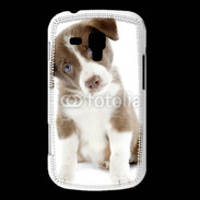 Coque Samsung Galaxy Trend Chiot Colley marron et blanc
