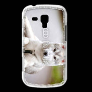 Coque Samsung Galaxy Trend Chien Husky de Sibérie 2