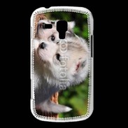 Coque Samsung Galaxy Trend Chiot Husky de Sibérie 3