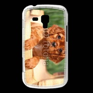 Coque Samsung Galaxy Trend Chiot King Charles 2