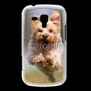 Coque Samsung Galaxy Trend Yorkshire terrier 6