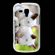 Coque Samsung Galaxy Trend Chien Bull terrier anglais 1