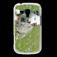Coque Samsung Galaxy Trend Chiot blanc et gris 1