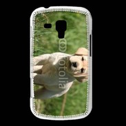 Coque Samsung Galaxy Trend Mignon petit labrador