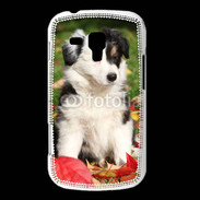 Coque Samsung Galaxy Trend Adorable chiot Border collie