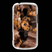 Coque Samsung Galaxy Trend Chiot Yorkshire 10