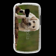 Coque Samsung Galaxy Trend Chiot labrador avec pomme de pin
