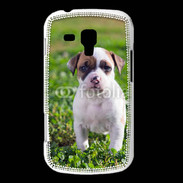 Coque Samsung Galaxy Trend Chiot American Staffordshire terrier 