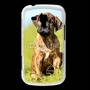 Coque Samsung Galaxy Trend Portrait d'un mastiff