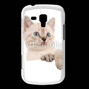 Coque Samsung Galaxy Trend Petit chaton en portrait