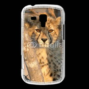 Coque Samsung Galaxy Trend Jeune félin