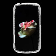 Coque Samsung Galaxy Trend Belle rose sur fond noir PR