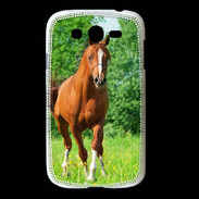 Coque Samsung Galaxy Grand Cheval arabe robe marron et blanche