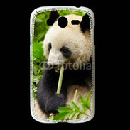 Coque Samsung Galaxy Grand Panda 2