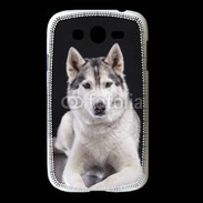Coque Samsung Galaxy Grand Chien Husky de Sibérie