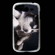 Coque Samsung Galaxy Grand Chiot Husky de Sibérie