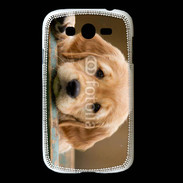 Coque Samsung Galaxy Grand Chiot labrador golden 2