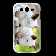 Coque Samsung Galaxy Grand Chien Bull terrier anglais 1