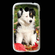 Coque Samsung Galaxy Grand Adorable chiot Border collie